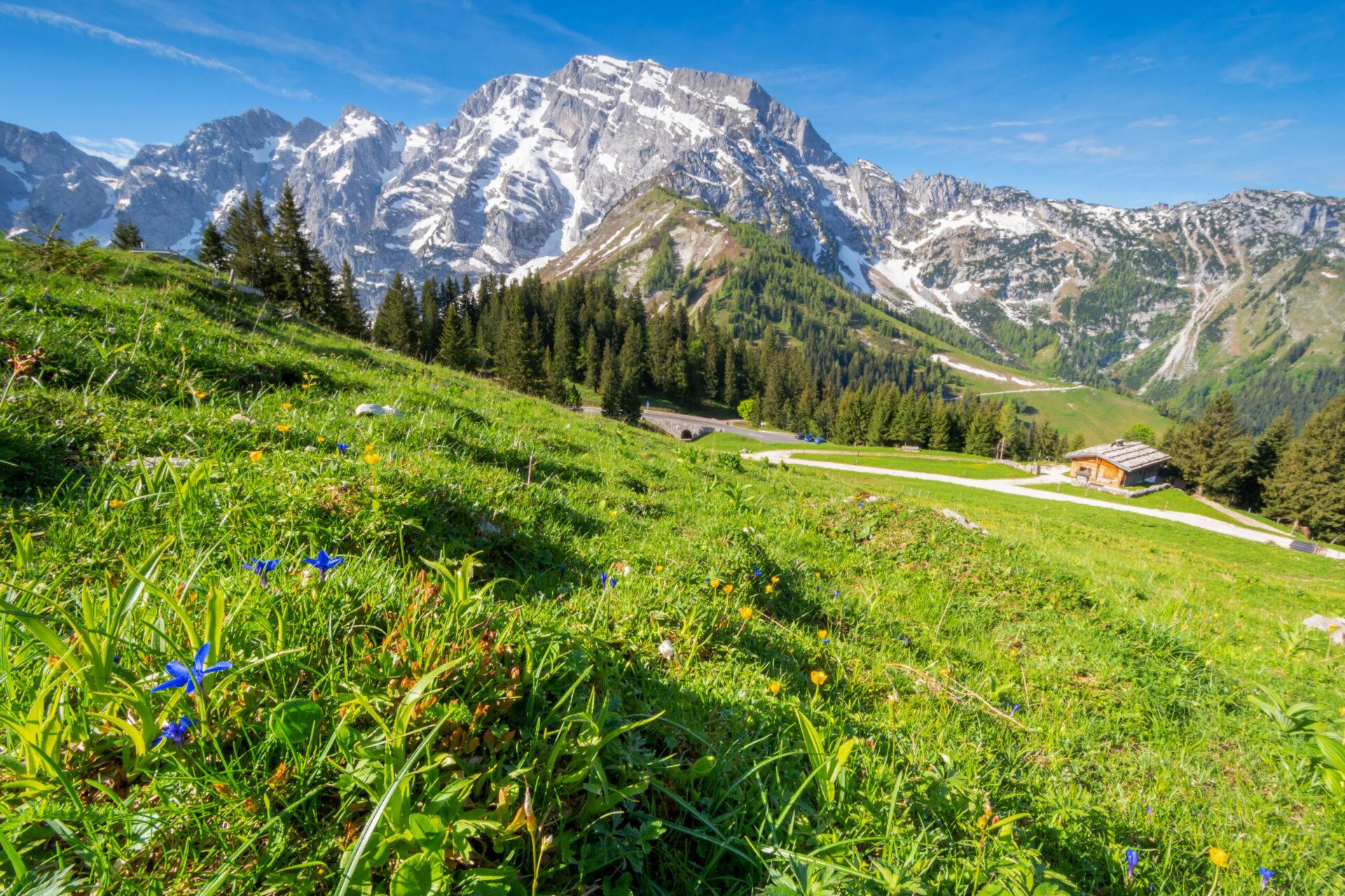 Wanderwoche 1 alpenhotel fischer berchtesgadener land rossfeld mp1982 06 adobestock 205202946